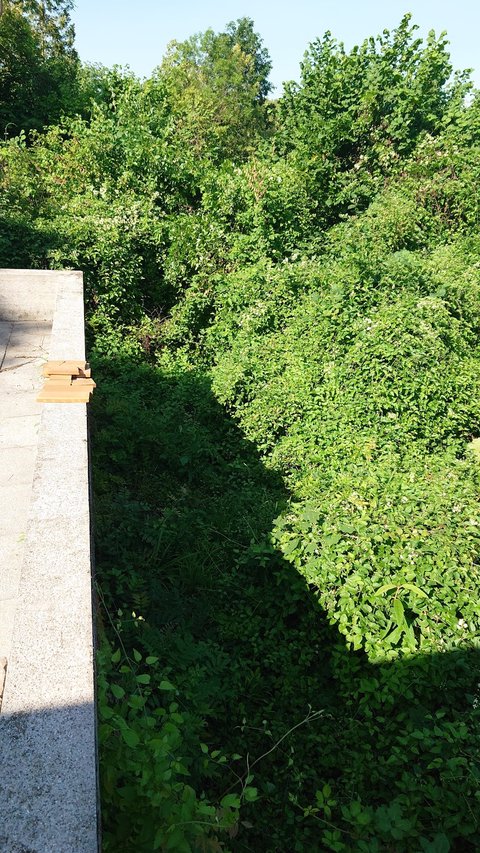 Hoehenstrasse 15